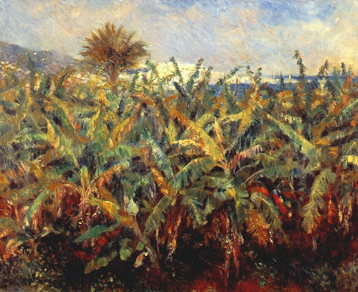 Field of Banana Trees - Pierre-Auguste Renoir painting on canvas